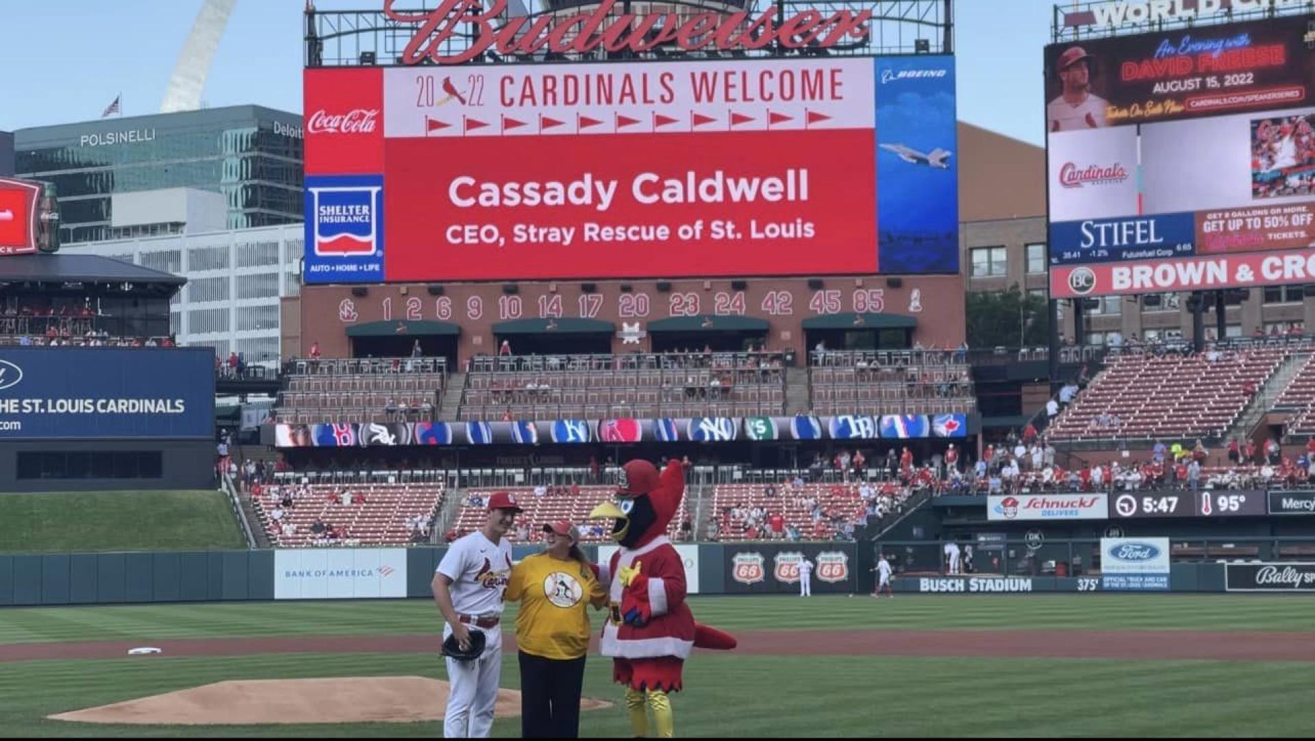 TITAN Women In Business Awards Winner - Cassady Caldwell, CEO of Stray Rescue of St. Louis gallery