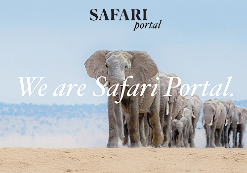 TITAN Women In Business Awards Winner - Safari Portal - Safari Portal: Revolutionizing Itinerary Creation